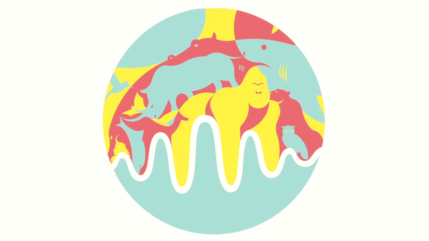 Musical Zoo